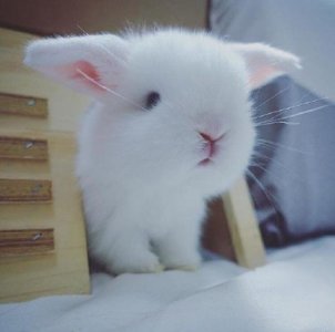 ​暖和天气发的朋友圈说说[40条] (适合发朋友圈的说说)