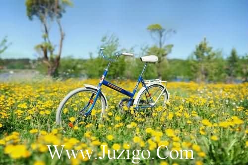 2023高情商晒娃句子抖音最火晒娃的句子(精选40句)