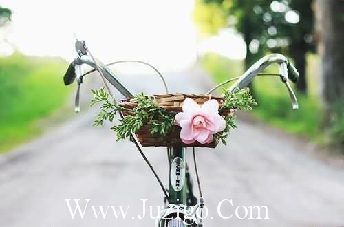 早上好健康快乐每一天句子(健康快乐每一天下一句)