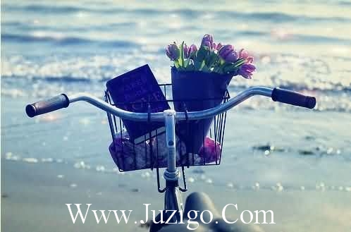 孤单的古风句子沧桑孤寂的古风句子(精选18句)