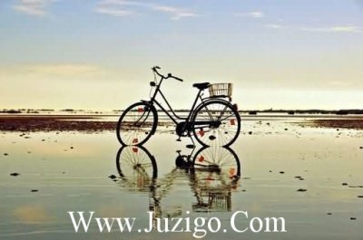 ​爱的累了放下的句子爱的累了想放手的句子(精选24句)