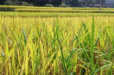 ​初中毕业感言简短精辟