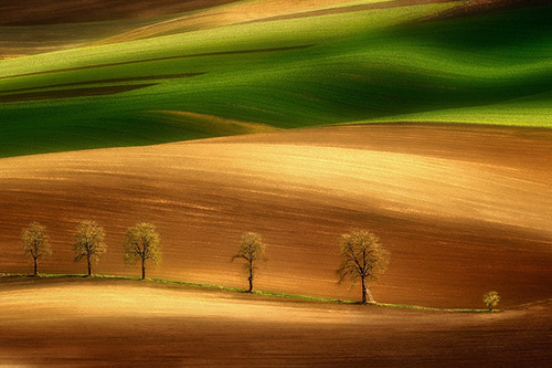 青春励志的名言警句93句