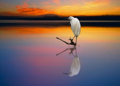 ​夸赞女人最经典句子