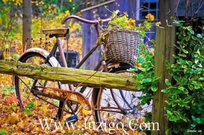 ​适合情人节秀恩爱的说说文案(情人节秀恩爱文案)