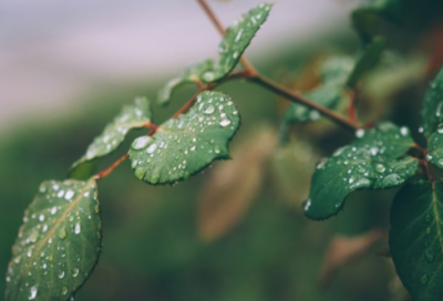 ​最流行个性又好听的qq网名176个