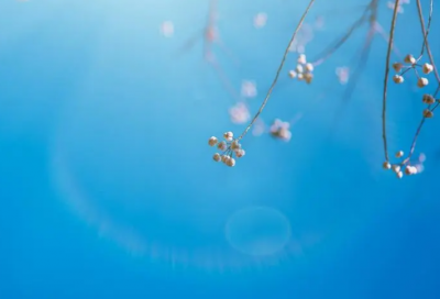 ​将错就错的经典语录70句