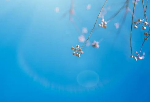 1685995708102755.png image.png