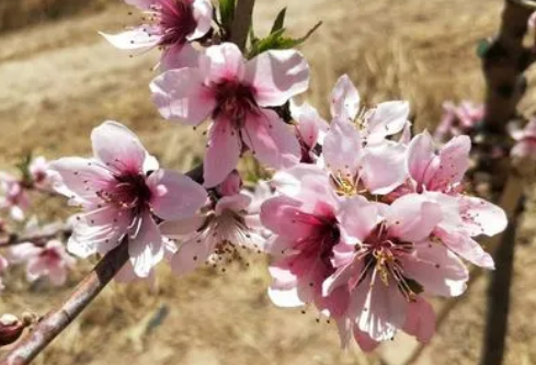 1686002043531829.png image.png