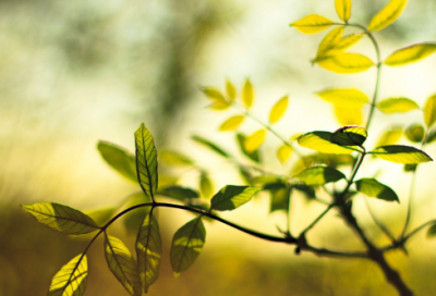 ​全网最全！祝女儿生日励志经典短句精选53条