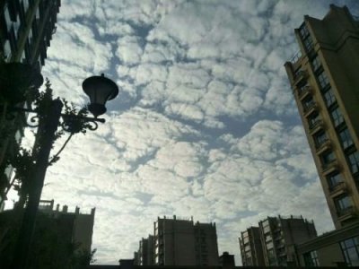 ​一句问候让人感动的句子 最容易感动人的句子