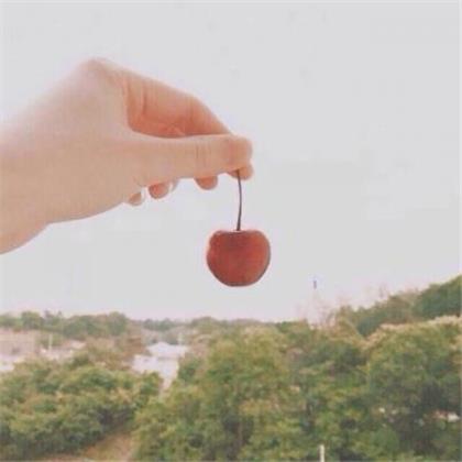 一句问候让人感动的句子