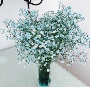 ​共青团建团100周年寄语精选