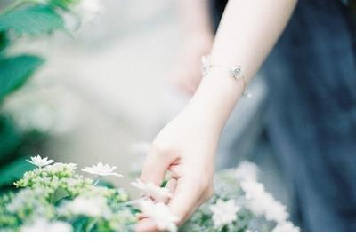 2023年牛年金句牛气冲天