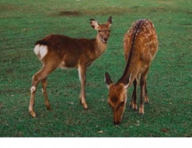 ​朋友失恋了安慰她的话