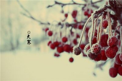 ​人间失格最著名的一句话 遇事才知谁对你好