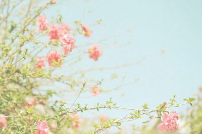 ​早安语录适合发朋友圈的句子赏析(精选80句)