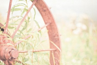 ​关于描写马的句子34句