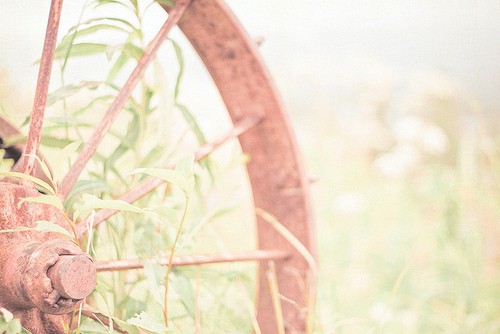 关于描写马的句子34句