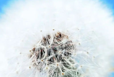 ​QQ女生网名大全67个