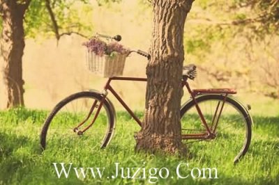 ​二十八岁生日说说满二十八岁生日说说(精选29句)