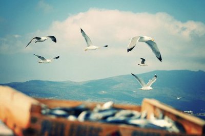 ​刚分手句子84句