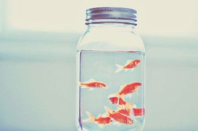 ​骂一个没良心的人的句子骂没良心的人短语(80句)