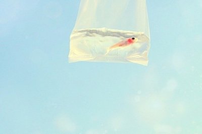 ​有关描写音乐的句子28句