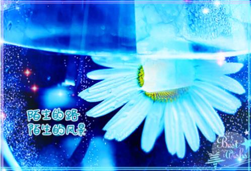 50句小学生拟人句大全 以星星为主题写一个拟人句