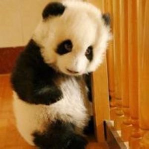 ​关于抽烟的说说配图[25句] (抽烟最精辟的语录)