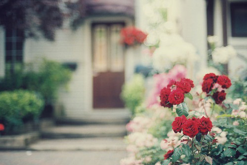 深夜发朋友圈励志短句 晚安心语简短一句话(35句)