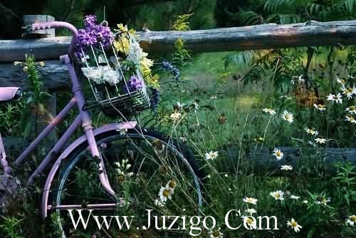 中秋节的朋友圈文案中秋节惊艳的朋友圈文案(精选74句)