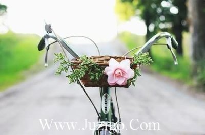 ​社会语录生活哲理语录短句哲理(精选140句)