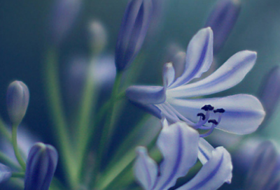 ​令人心疼的游戏名字