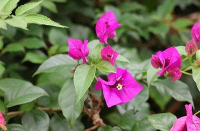 ​和行程卡再见的语录