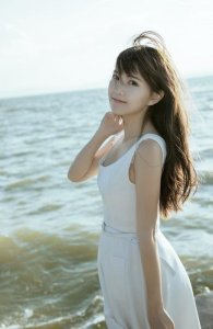 ​形容付出心血终于成功的词句