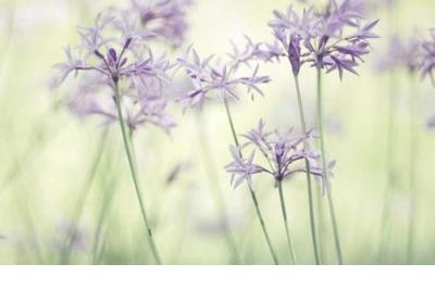 往后余生情话最暖心短句