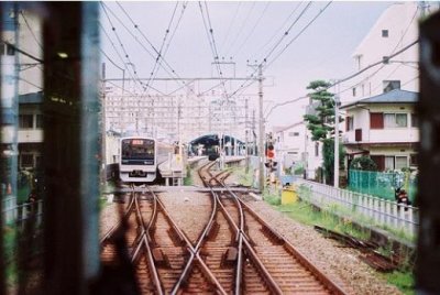 ​佛语禅心图片唯美[30句]