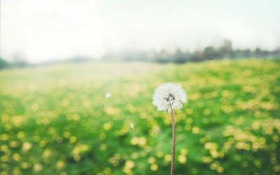 ​三观不合的经典句子