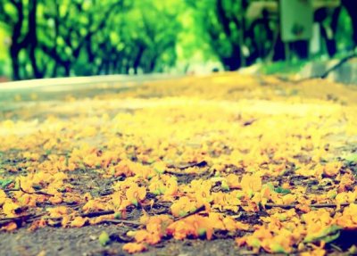 ​描写鼻子的句子