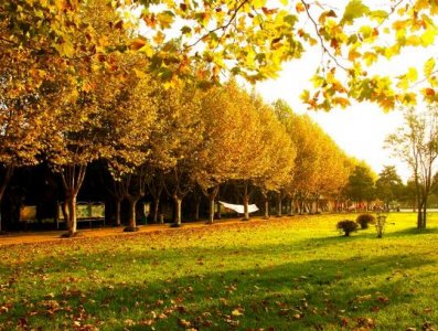 ​适合闺蜜的句子