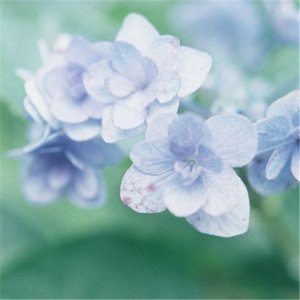 ​唯美上进的个性签名女生