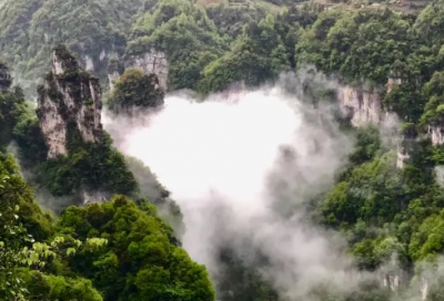 ​体现自己很孤独的一句话 一句话经典