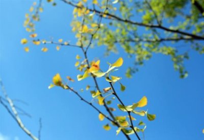 ​2023年微信个性签名 好的微信签名唯美句子