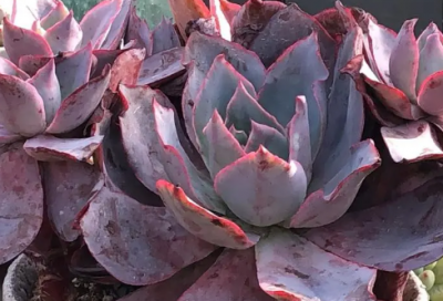 ​经典个性签名语句(30条)