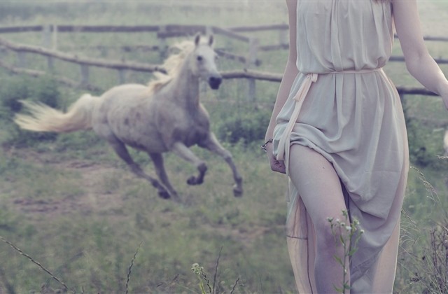 代表不离不弃的网名