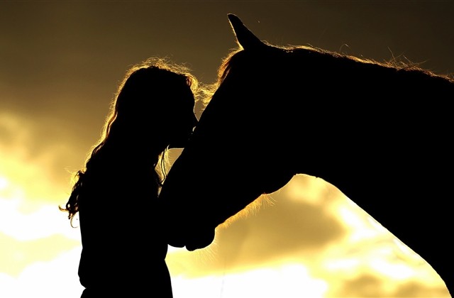 好听的诗意古风网名 好听的诗意古风网名