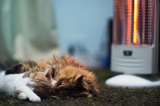 男人孤独寂寞的句子