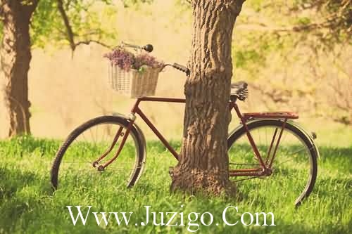 早上好的简短走心文案最浪漫的说早安方式(精选27句)