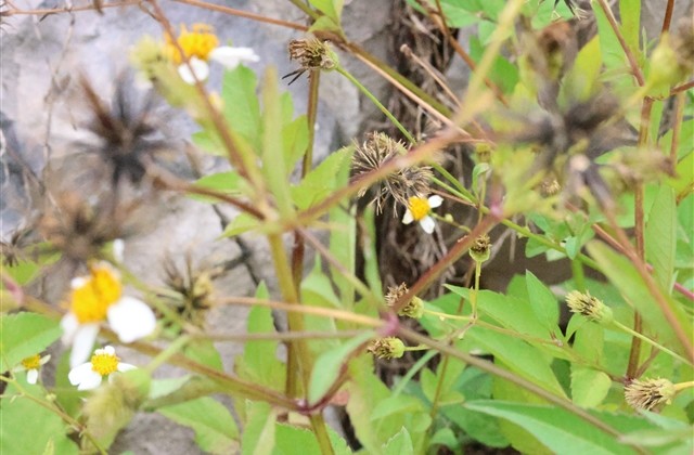 降温穿秋裤搞笑朋友圈句子